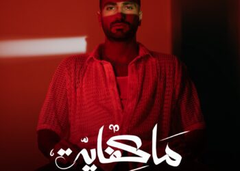 محمد الشرنوبي