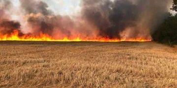 إشعال النيران في أرض زراعية